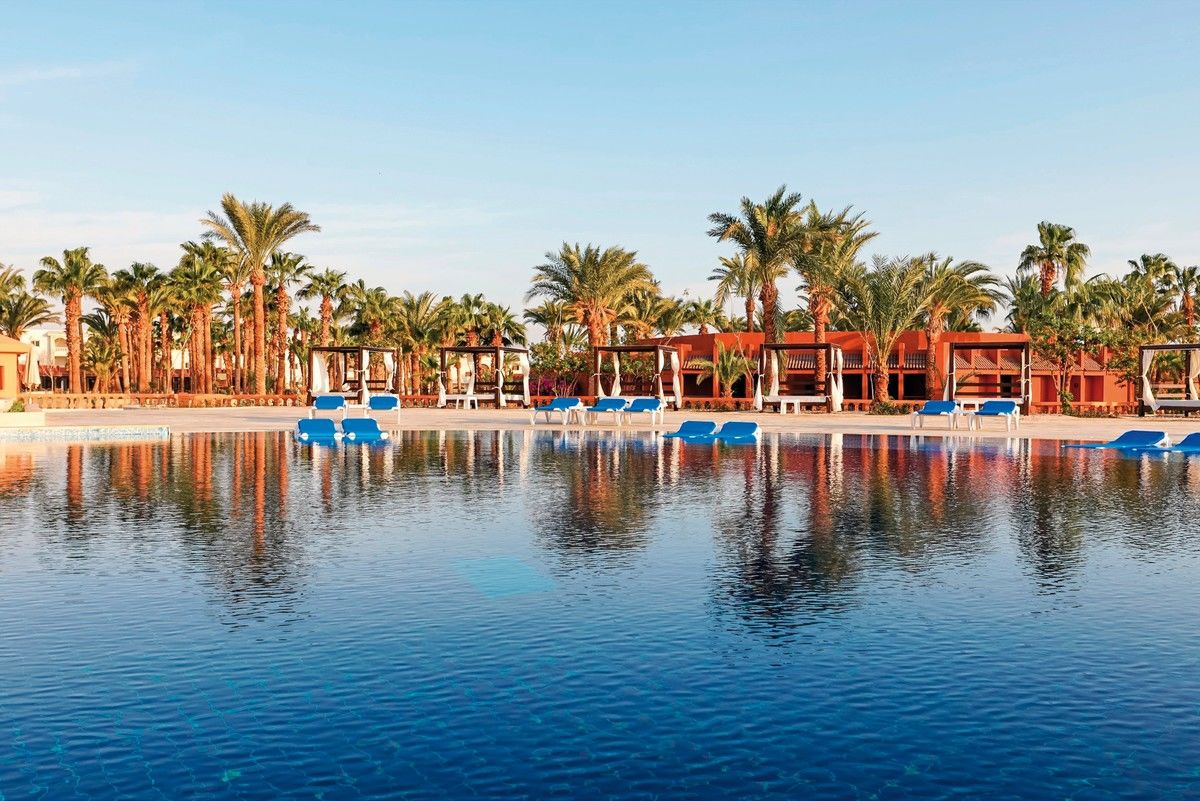 Hauptansicht Calimera Blend Paradise